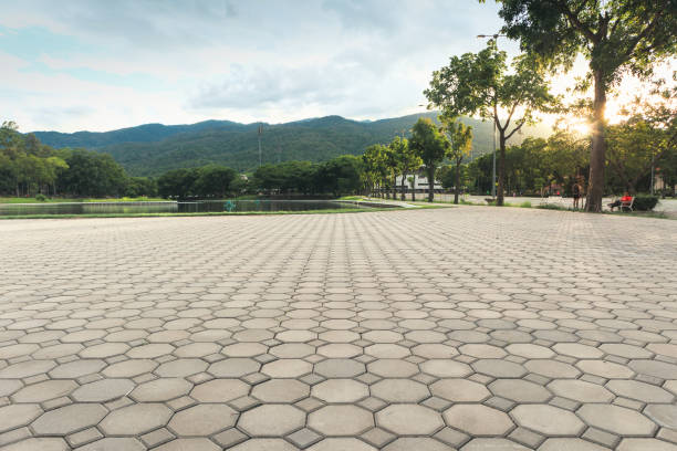 Reliable Delmar, DE Driveway Pavers Solutions